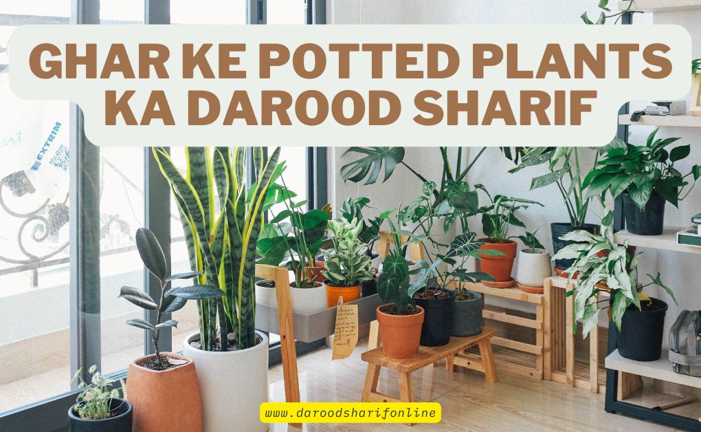 Ghar-ke-Potted-Plants-ka-Darood-Sharif