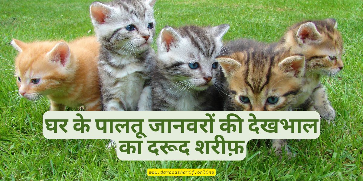 घर-के-पालतू-जानवरों-की-देखभाल-का-दरूद-शरीफ़